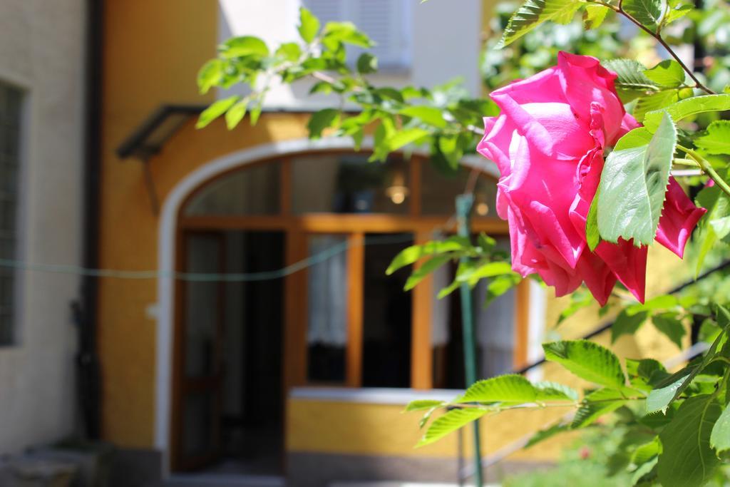 Rose Apartment By Quokka 360 - Refined Two-Bedroom Apartment With Garden Lugano Extérieur photo